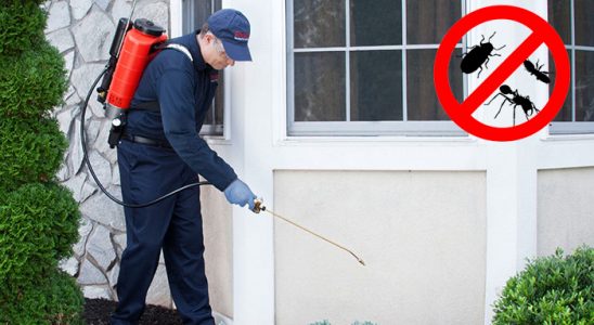 Sincan Akrep İlaçlama böcek ilaçlama ve haşere kontrolü — ilaclama-tr.com